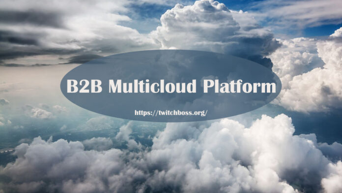 B2B Multicloud Platform